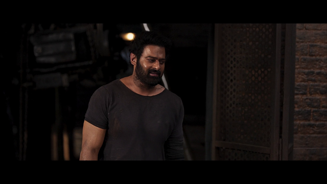 Download Salaar (2023) Dual Audio (Hindi-Telugu) Movie WEB-DL